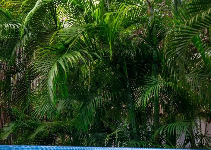 Hostel Maui *